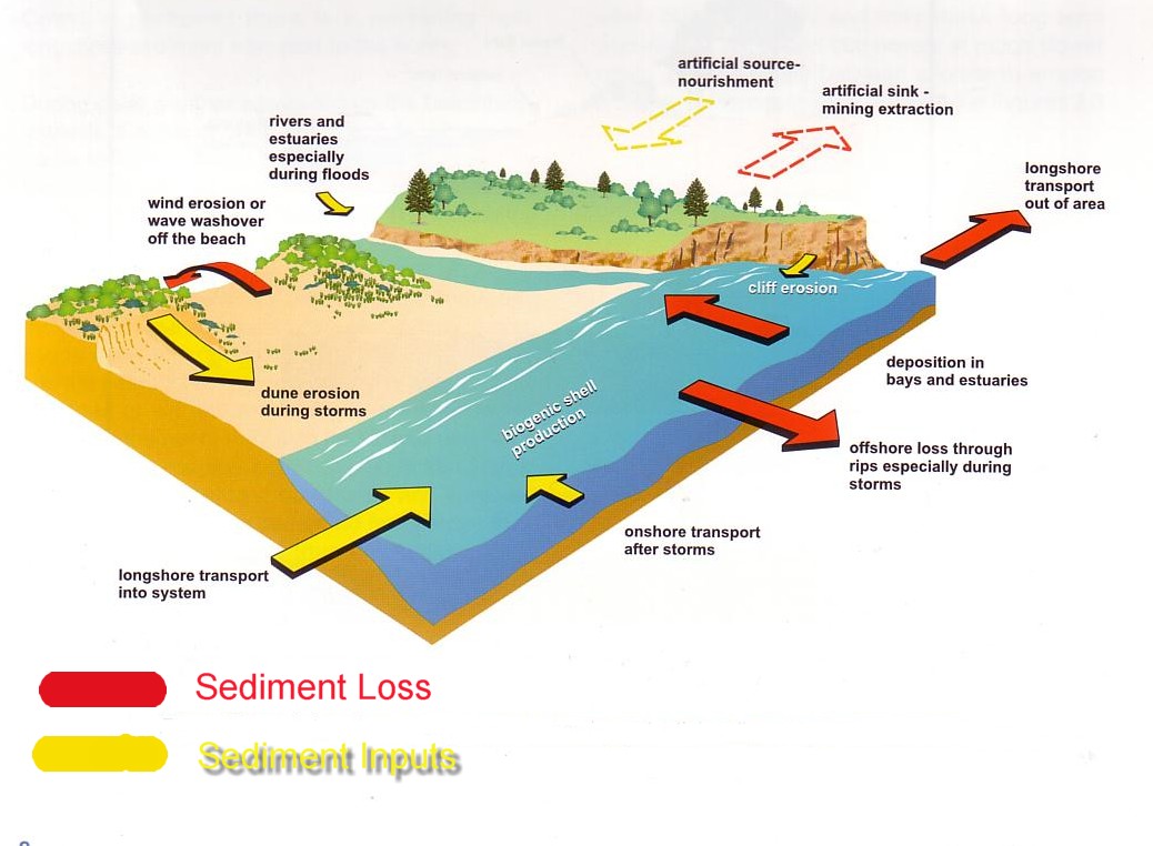 Coastal Sand Dunes Case Study Stockton